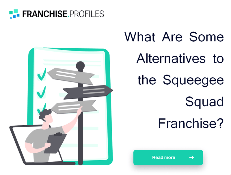 What Are Some Alternatives to the Squeegee Squad Franchise?