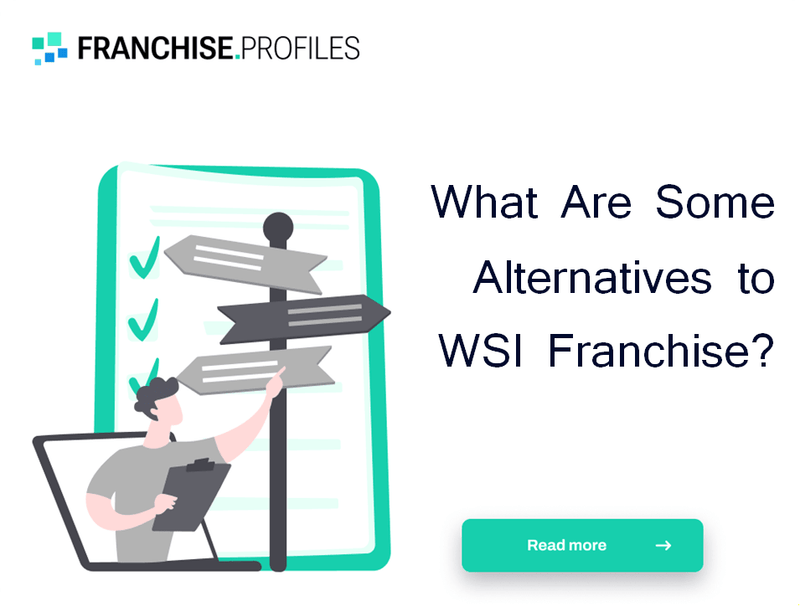 What Are Some Alternatives to WSI Franchise?