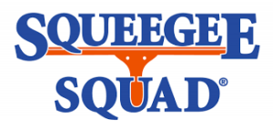 Squeegee Squad Franchise Profile
