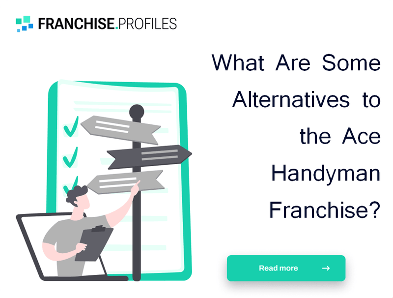 What Are Some Alternatives to the Ace Handyman Franchise?