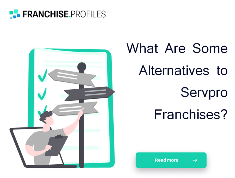 What Are Some Alternatives to Servpro Franchises?