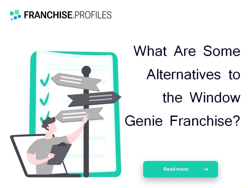 What Are Some Alternatives to the Window Genie Franchise?