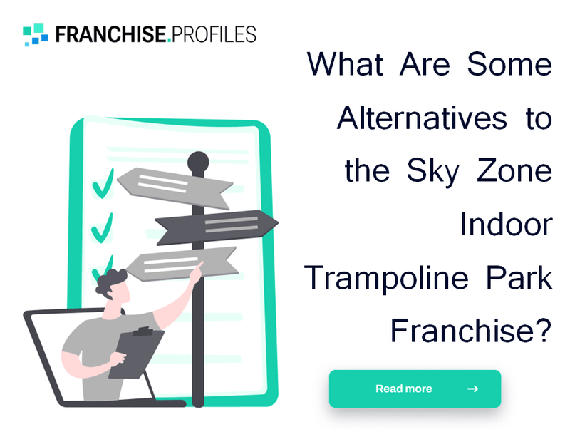 What Are Some Alternatives to the Sky Zone Indoor Trampoline Park Franchise?