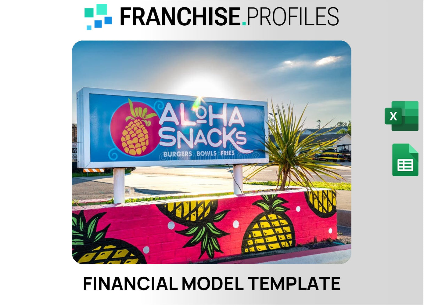 Aloha USA Franchise Financial Model Template