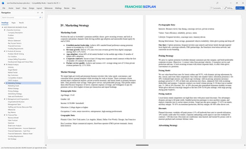 avis franchise business plan 4