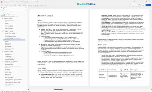 budget franchise business plan 3