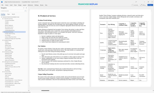 culligan franchise business plan 2