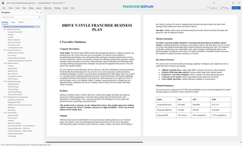 drive n style franchise business plan 1