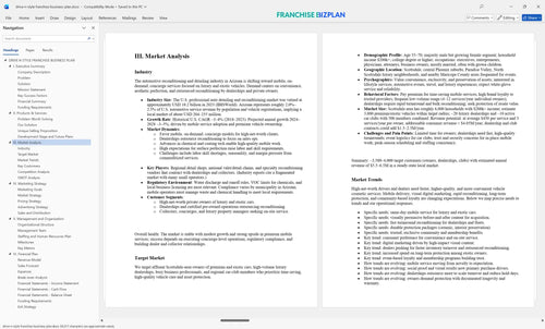 drive n style franchise business plan 3