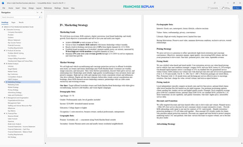 drive n style franchise business plan 4
