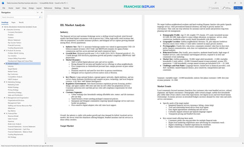 fiesta insurance franchise business plan 3