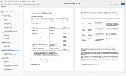fiesta insurance franchise business plan 5