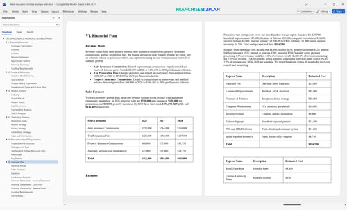fiesta insurance franchise business plan 6