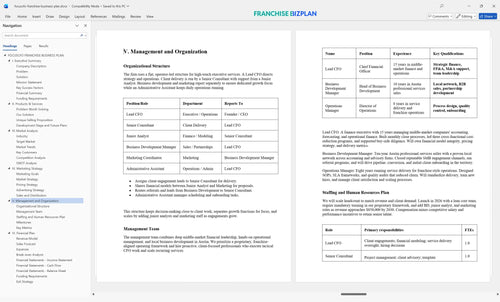focuscfo franchise business plan 5