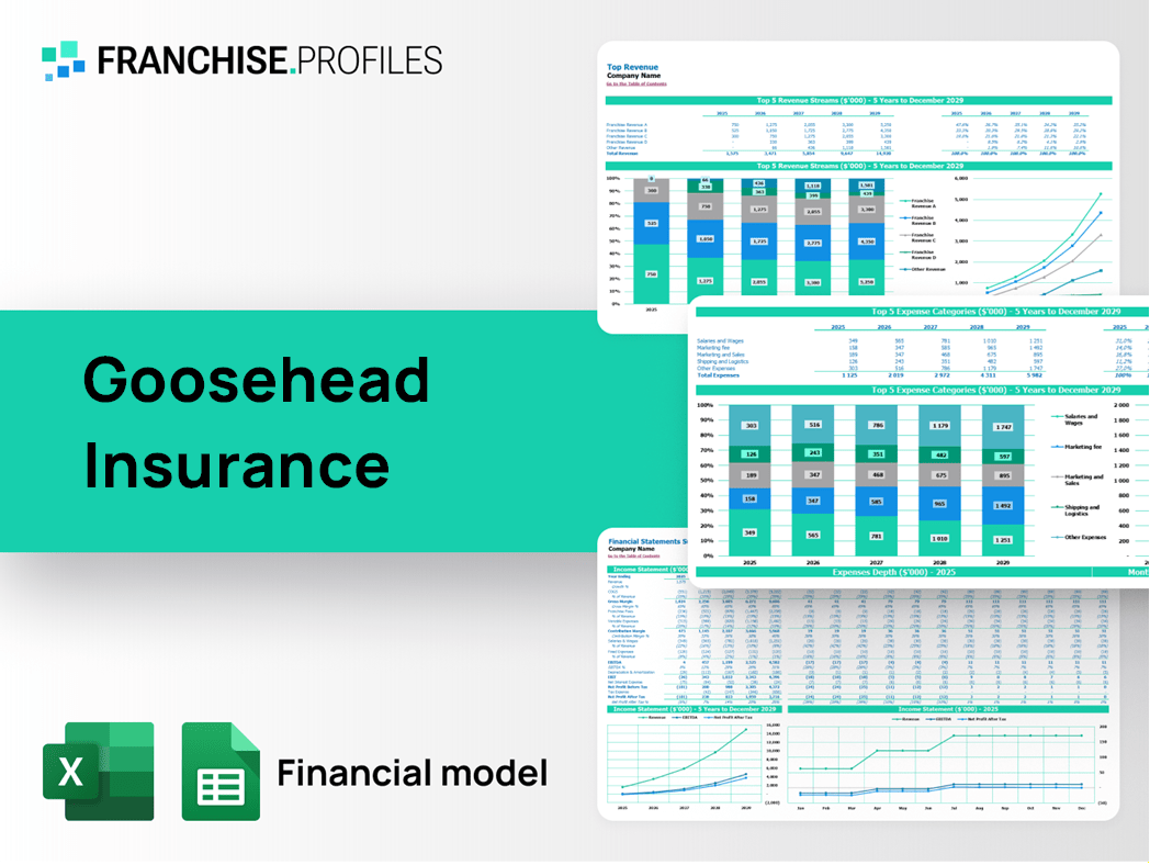 Goosehead Insurance Franchise Financial Model Template