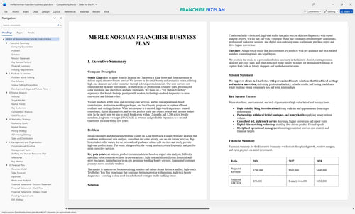 merle norman franchise business plan 1
