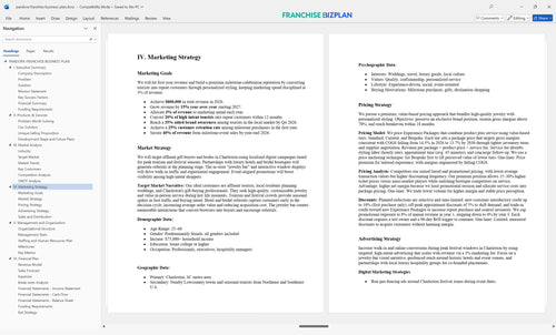 pandora franchise business plan 4