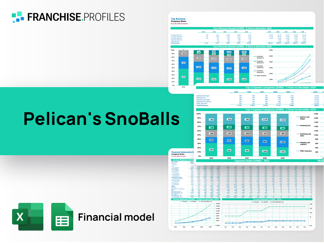 Pelican's SnoBalls Franchise Financial Model Template