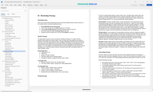 red mango franchise business plan 4