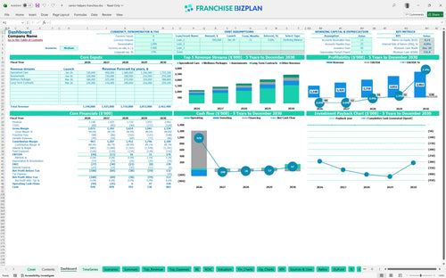 senior helpers financial model dashboard 8091fd2d 2730 4bf9 9249 d67e3b616344