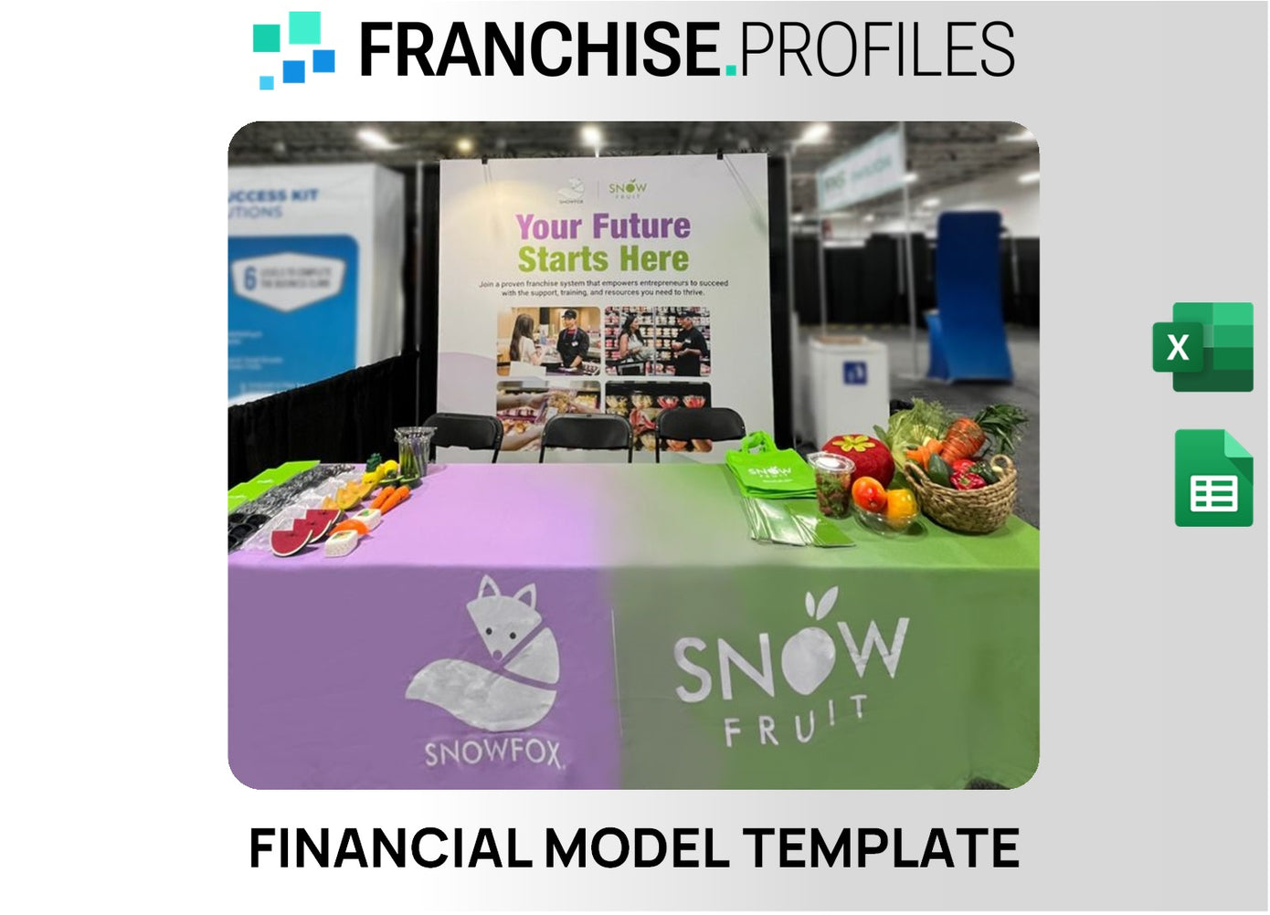 Snow Fox Franchise Financial Model Template