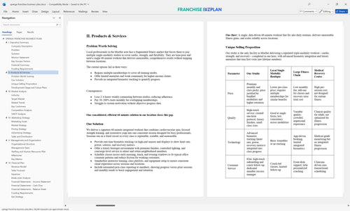 spenga franchise business plan 2