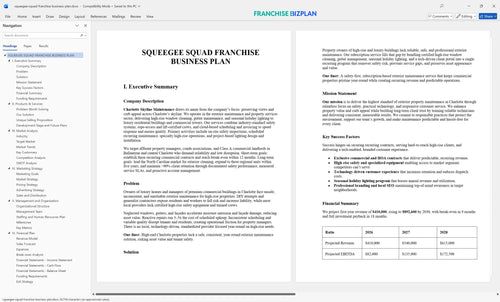 squeegee squad franchise business plan 1