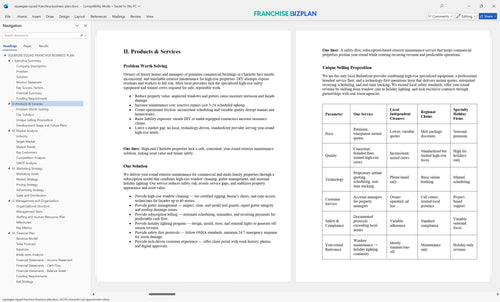 squeegee squad franchise business plan 2