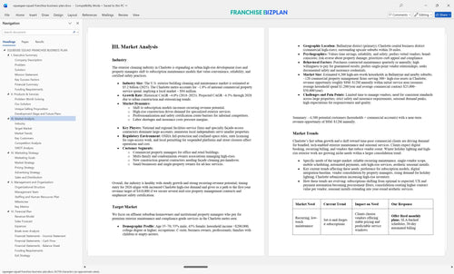 squeegee squad franchise business plan 3