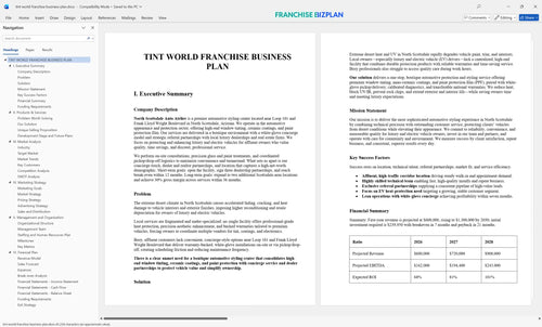 tint world franchise business plan 1