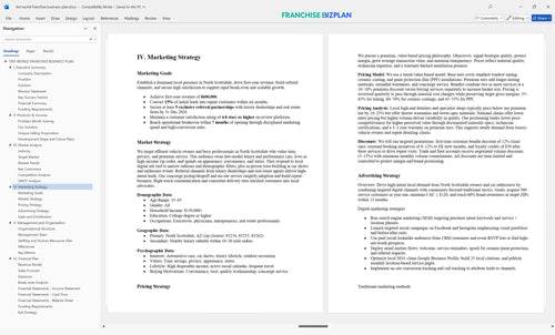 tint world franchise business plan 4