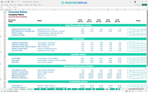 vital care financial model ratios fa0f4626 57e4 4d4e a86d d3d53950a3a2